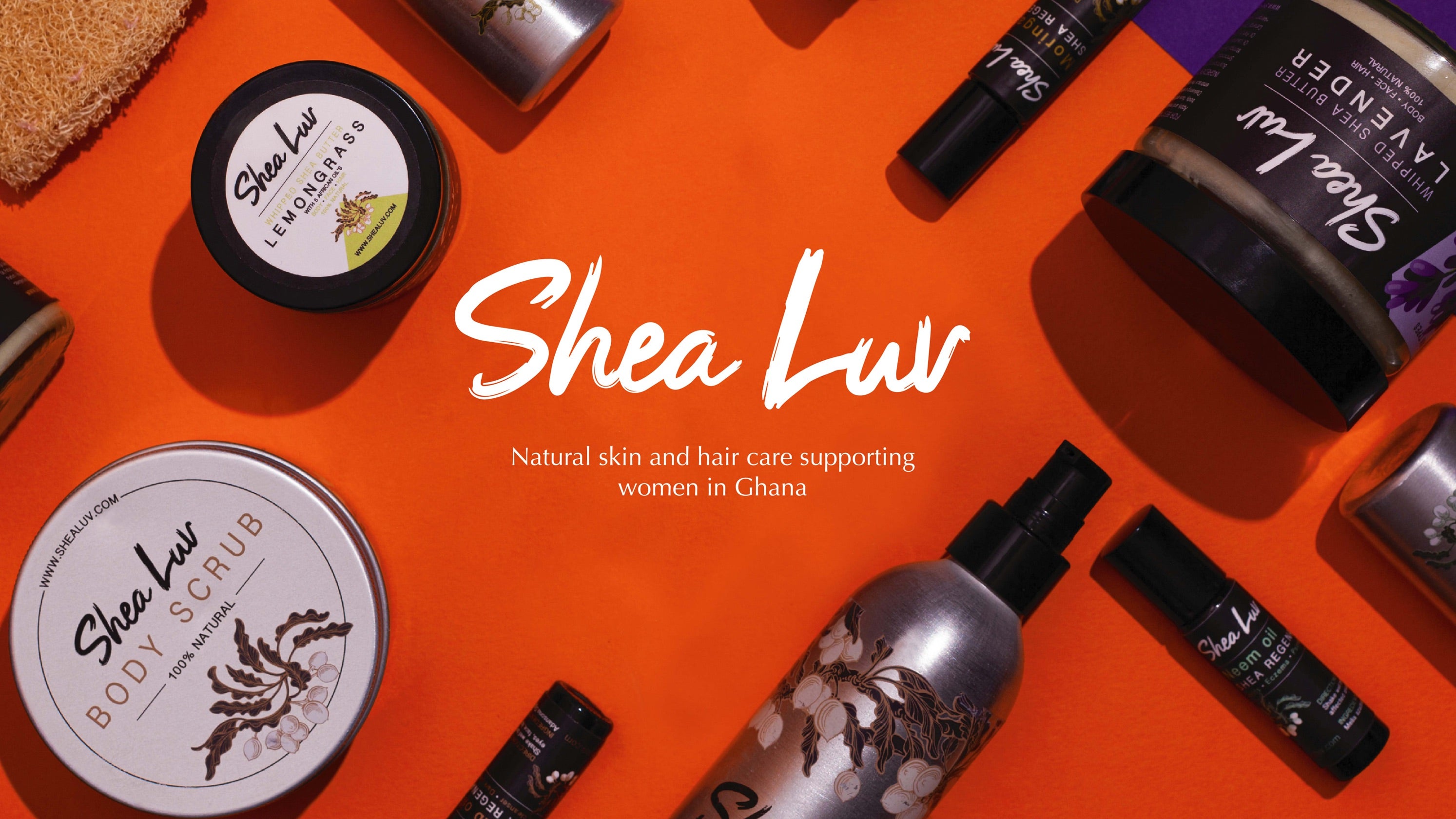 All Products Collection